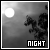 night